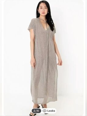 Zara Sheer Metallic Beach Swimsuit Coverup Dress Size Small